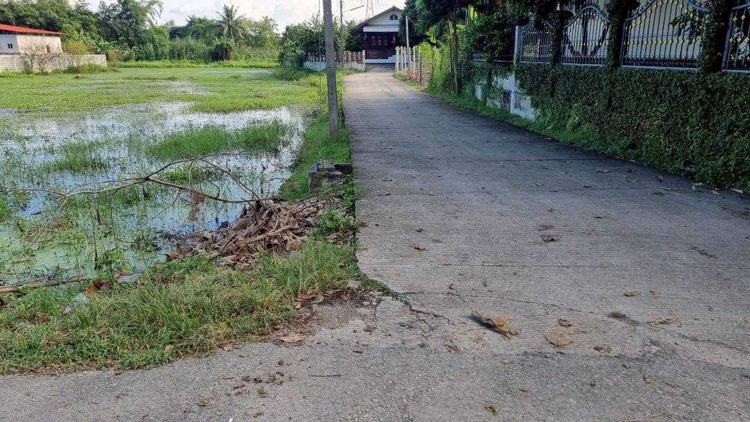 Land for sale, 2 rai, price 4 million, near Maejo University, Chiang Mai. – รูปที่ 3