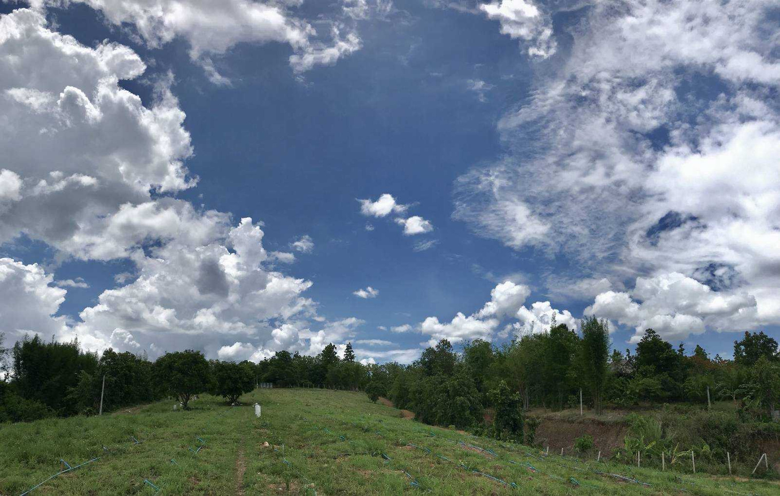 Hillside land, million-dollar view, next to Mae Taeng Irrigation Road. Near Wat Pa Na Bun, almost 10 rai #Mae Taeng land #Chiang Mai land #beautiful land – รูปที่ 2