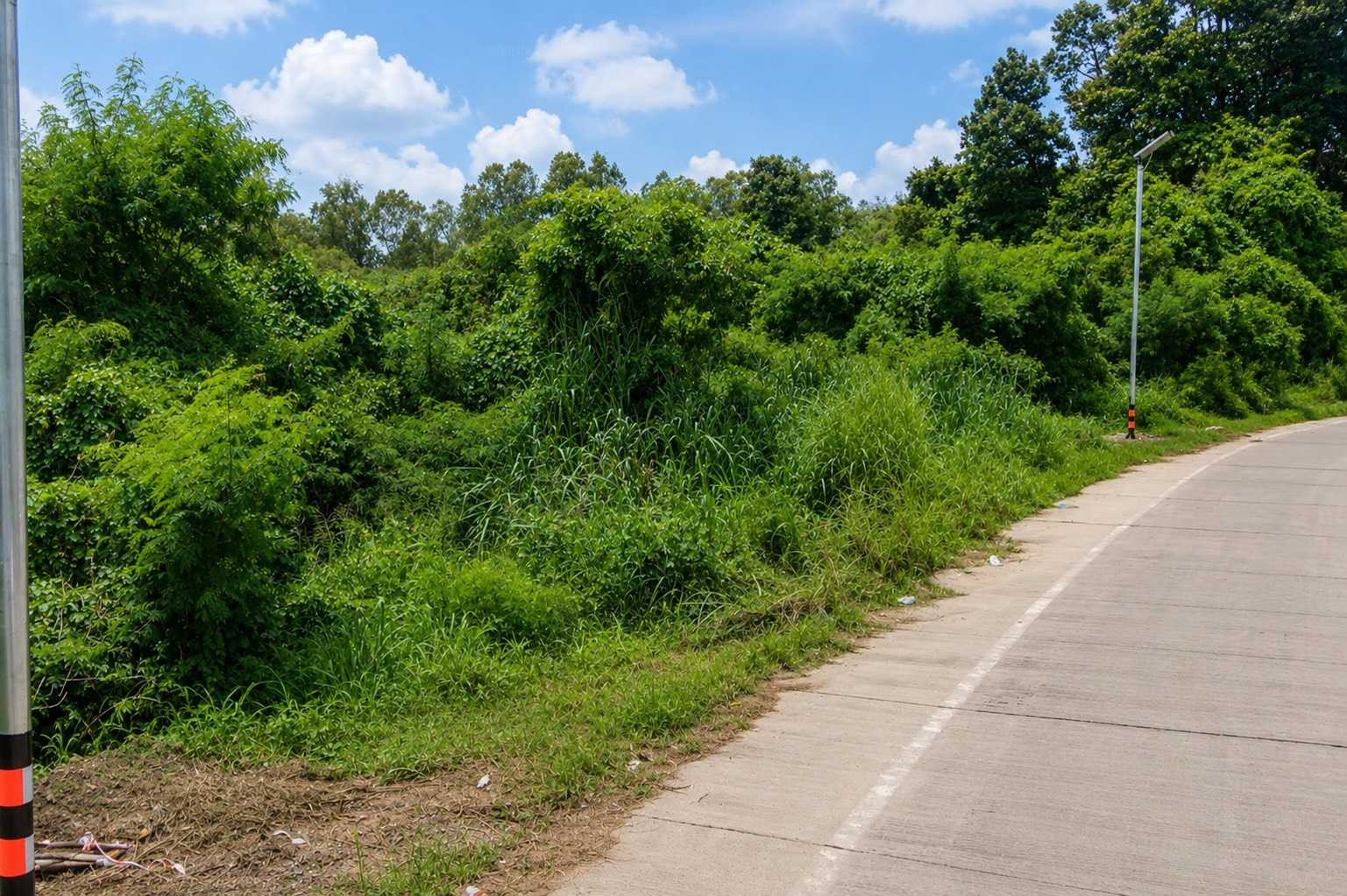 ขาย ที่ดินเปล่า 83 ตร.ว. ทำเลดี บางพระ – ศรีราชา ซอยบ้านลุงเทิ้ม ใกล้อ่างเก็บน้ำบางพระ จังหวัดชลบุรี – รูปที่ 4
