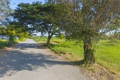 Land for sale in Khok Faed, Nong Chok, 540 square wah. Only 450 meters from Chueamsamphan Road. DD