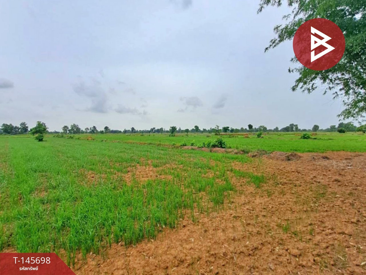 Land for sale, area 76 rai 1 ngan 97 sq m, Thap Khlo, Phichit. – รูปที่ 3