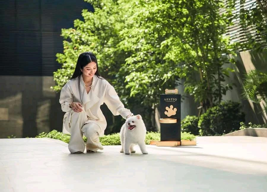 🐶🐱 Pet Friendly พร้อม Private Lift – รูปที่ 3
