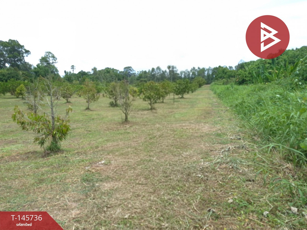 ขายที่ดิน เนื้อที่ 7 ไร่ 2 งาน 73.8 ตร.วา บ้านนา นครนายก – รูปที่ 2