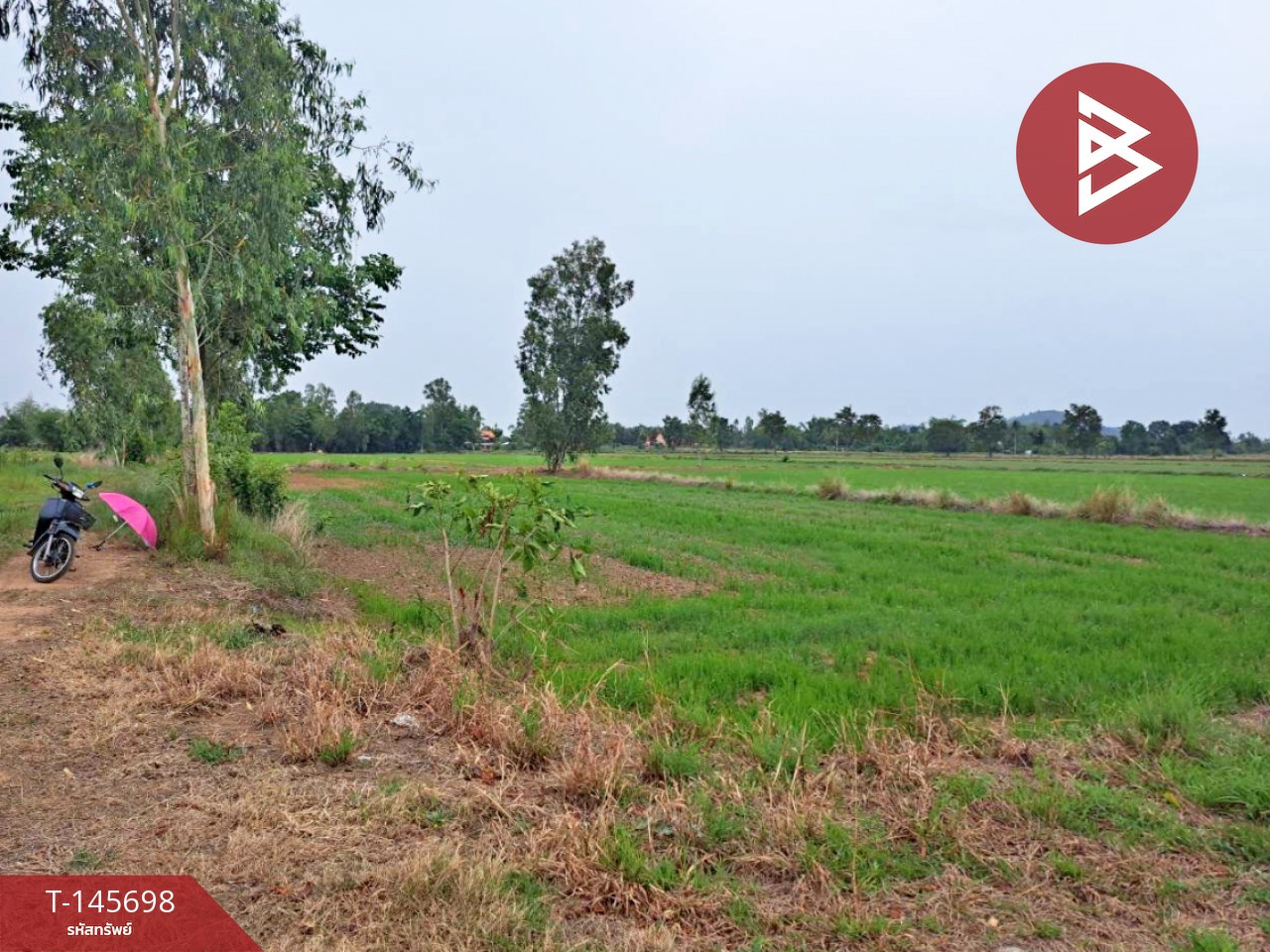 Land for sale, area 76 rai 1 ngan 97 sq m, Thap Khlo, Phichit. – รูปที่ 4