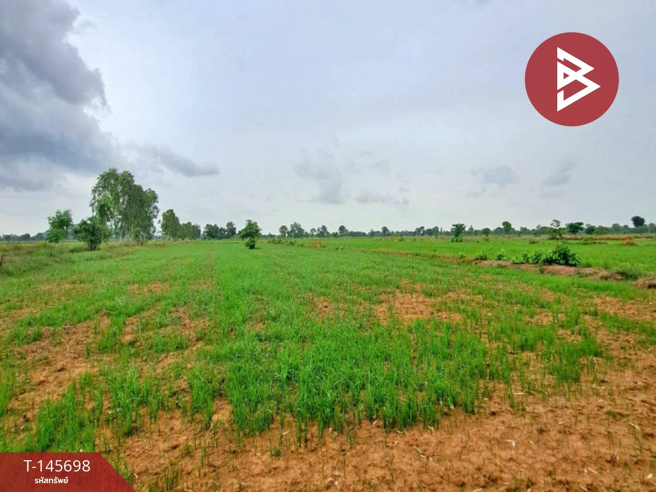 Land for sale, area 76 rai 1 ngan 97 sq m, Thap Khlo, Phichit. – รูปที่ 2