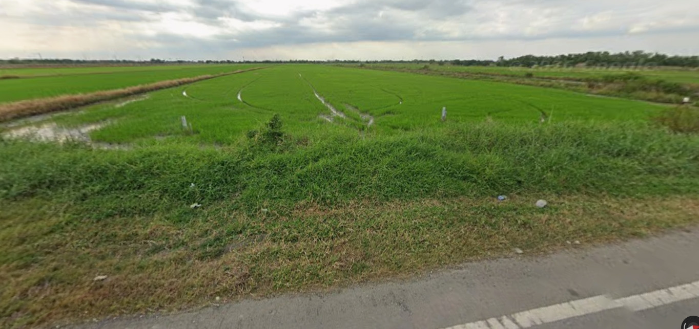 ขาย ที่ดินแปลงสวย 24 ไร่ 95 ตร.ว. อำเภอลำลูกกา จ.ปทุมธานี  – รูปที่ 3