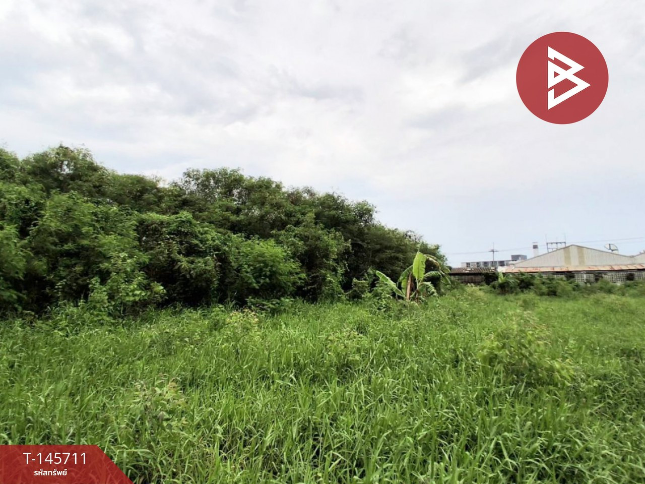 Land for sale, area 1 ngan 3 sq m, Sothon, Chachoengsao. – รูปที่ 2