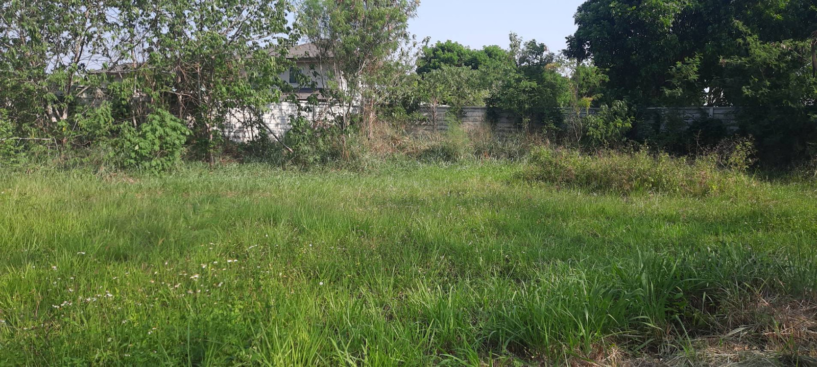 Urgent sale! Land in prime location Muak Lek-Saraburi 363 sq m. Panoramic view of Khao Yai, ozone ranked 7th in the world (next to a luxury village - near a golf course) – รูปที่ 4