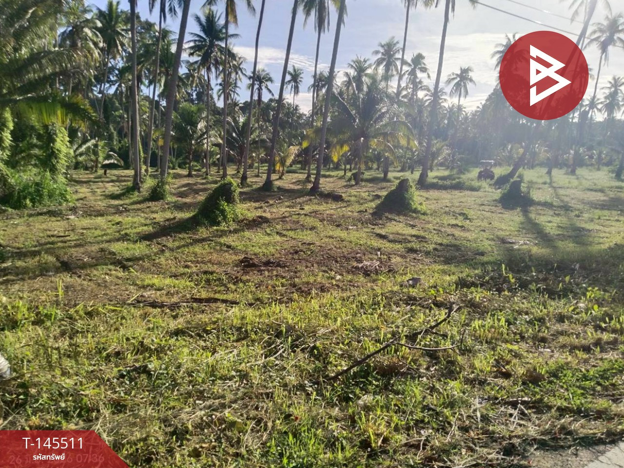 Land for sale, area 29 rai 79 sq m, Bang Saphan, Prachuap Khiri Khan. Land for sale, area 29 rai 79 sq m, Bang Saphan, Prachuap Khiri Khan.