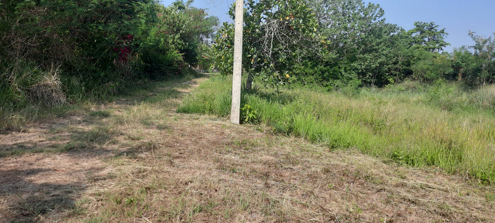 Urgent sale! Land in prime location Muak Lek-Saraburi 363 sq m. Panoramic view of Khao Yai, ozone ranked 7th in the world (next to a luxury village - near a golf course) – รูปที่ 3