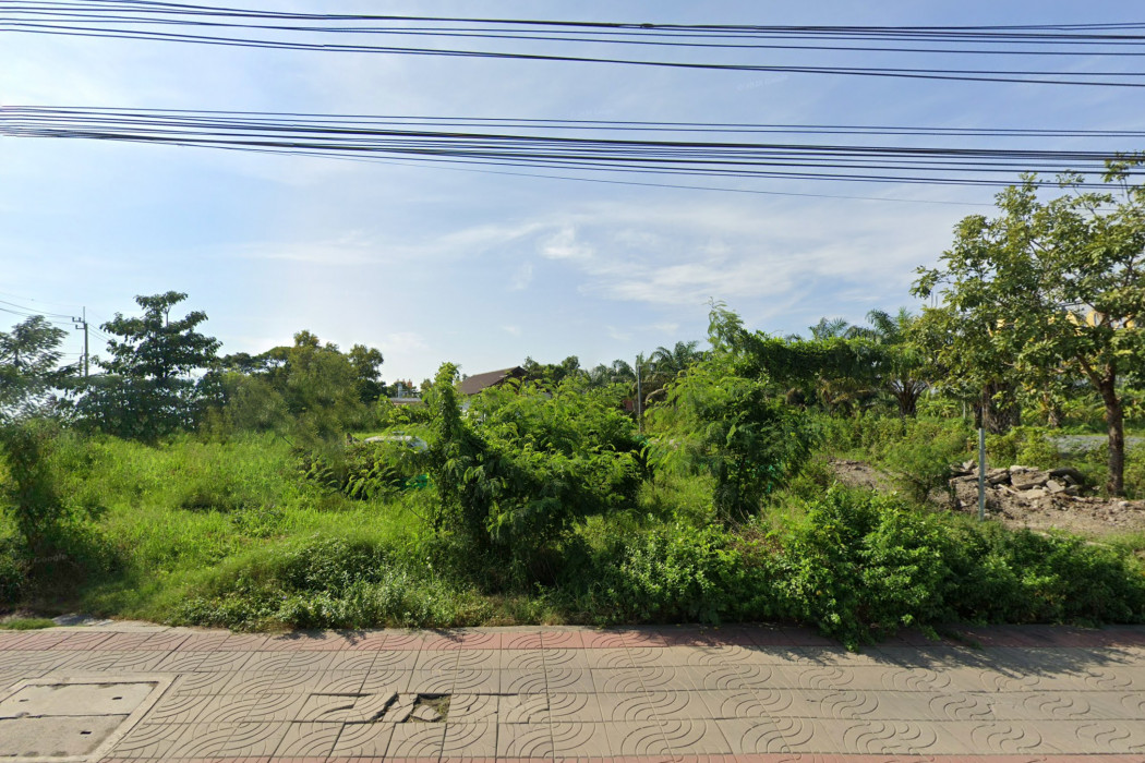 ขาย ที่ดิน ริมถนนสุวินทวงค์ 2 ไร่ 11.7 ตรว อยู่ปากทางถนนบึงขวาง DD – รูปที่ 4