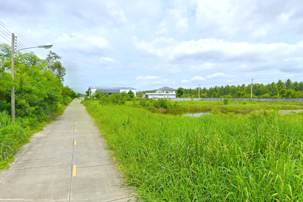 ขาย ที่ดิน ถูกที่สุด 790 ตรว ซอยลําลูกกา 71 ใกล้ถนนเลียบคลอง 4 เพียง 750 เมตร KK – รูปที่ 4