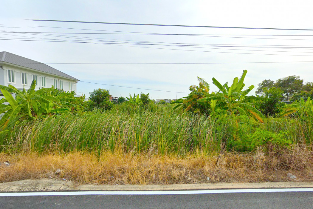 ขาย ที่ดิน ซอยลำลูกกา 97 ขนาด 422 ตรว ใกล้ถนนเมนซอยลำลูกกา 97 เพียง 50 เมตร DD – รูปที่ 3