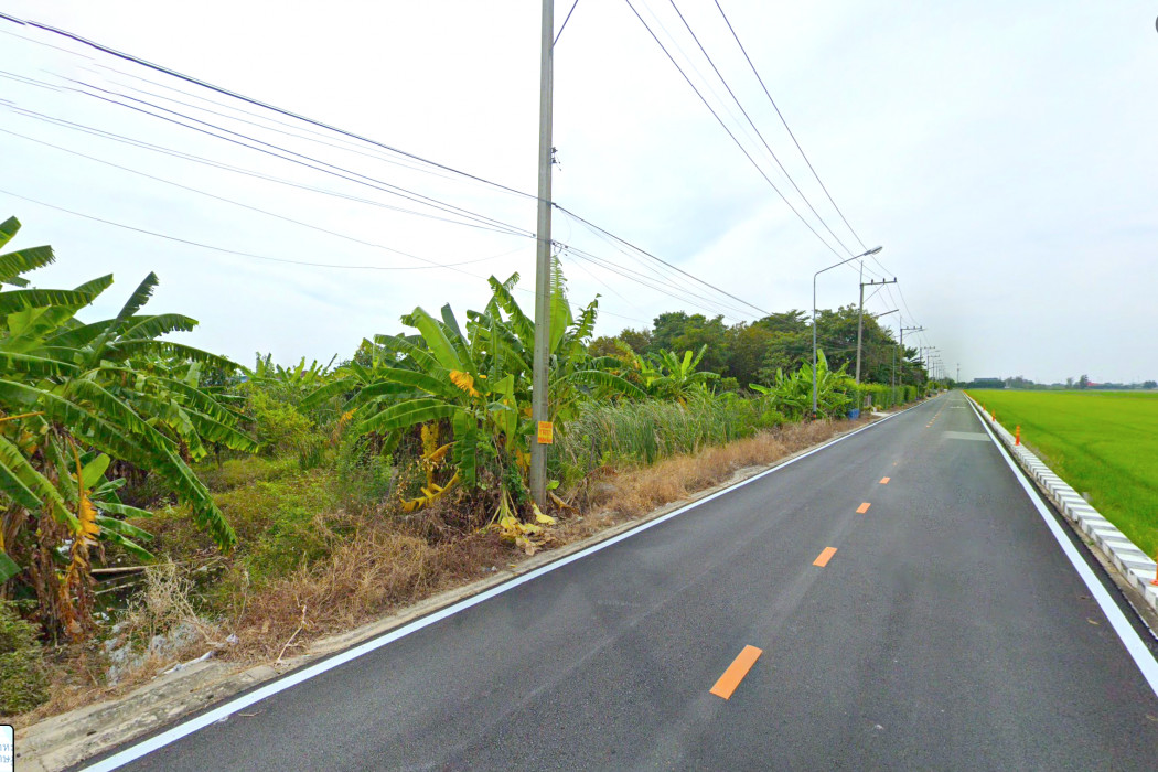 ขาย ที่ดิน ซอยลำลูกกา 97 ขนาด 422 ตรว ใกล้ถนนเมนซอยลำลูกกา 97 เพียง 50 เมตร DD – รูปที่ 4