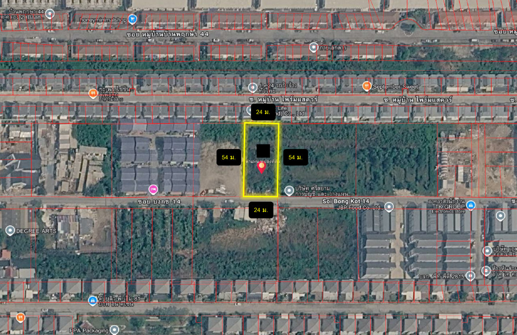 ขาย ที่ดิน ซอยบงกช 14 ขนาด 300 ตรว ถูกที่สุดในย่านนี้  DD – รูปที่ 3