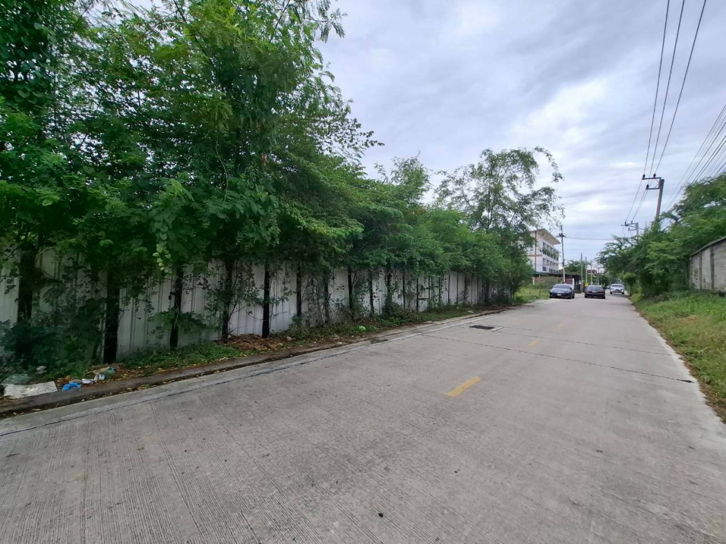 Land for sale in Soi Khlong Sam 6/7, 2 rai in size, only 700 meters from Khlong Luang Road. DD – รูปที่ 2