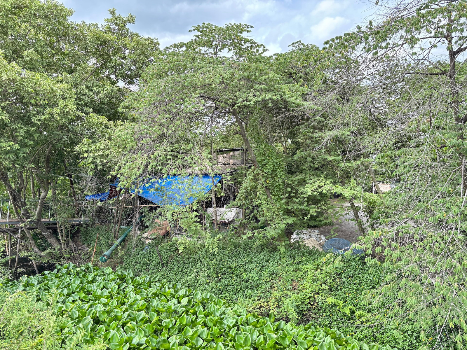 Empty land next to the main road, 505 square meters, Nakhon Chai Si area. Near Nakhon Chai Si Hospital, beautiful plot. – รูปที่ 2