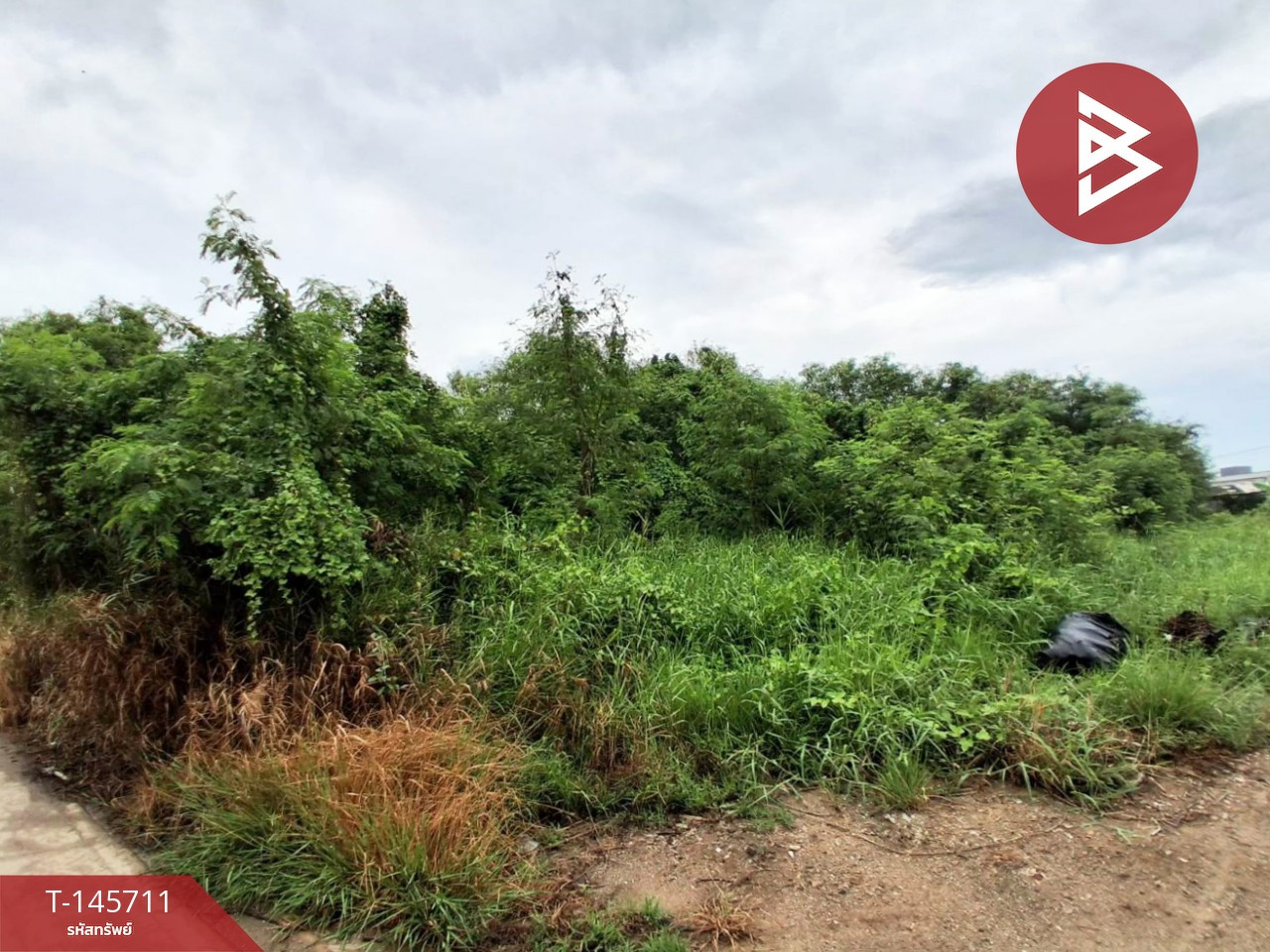 Land for sale, area 1 ngan 3 sq m, Sothon, Chachoengsao. – รูปที่ 3
