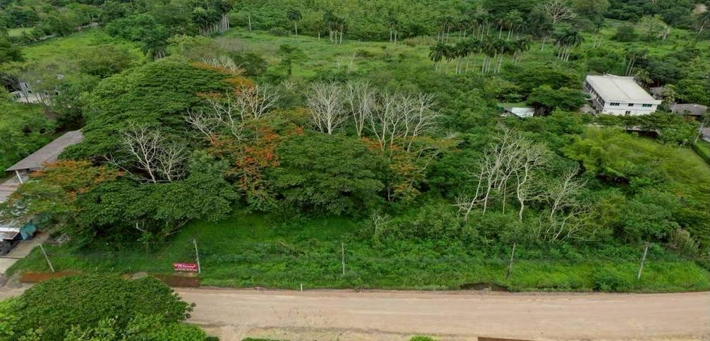 Land for sale in Chiang Dao, Chiang Mai Province, land next to the road, code: L8073