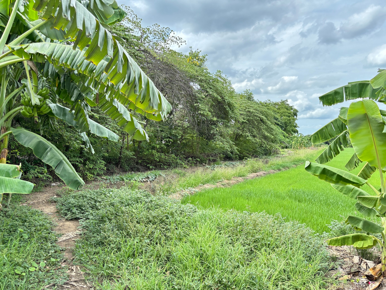 Empty land next to the main road, 505 square meters, Nakhon Chai Si area. Near Nakhon Chai Si Hospital, beautiful plot. – รูปที่ 3