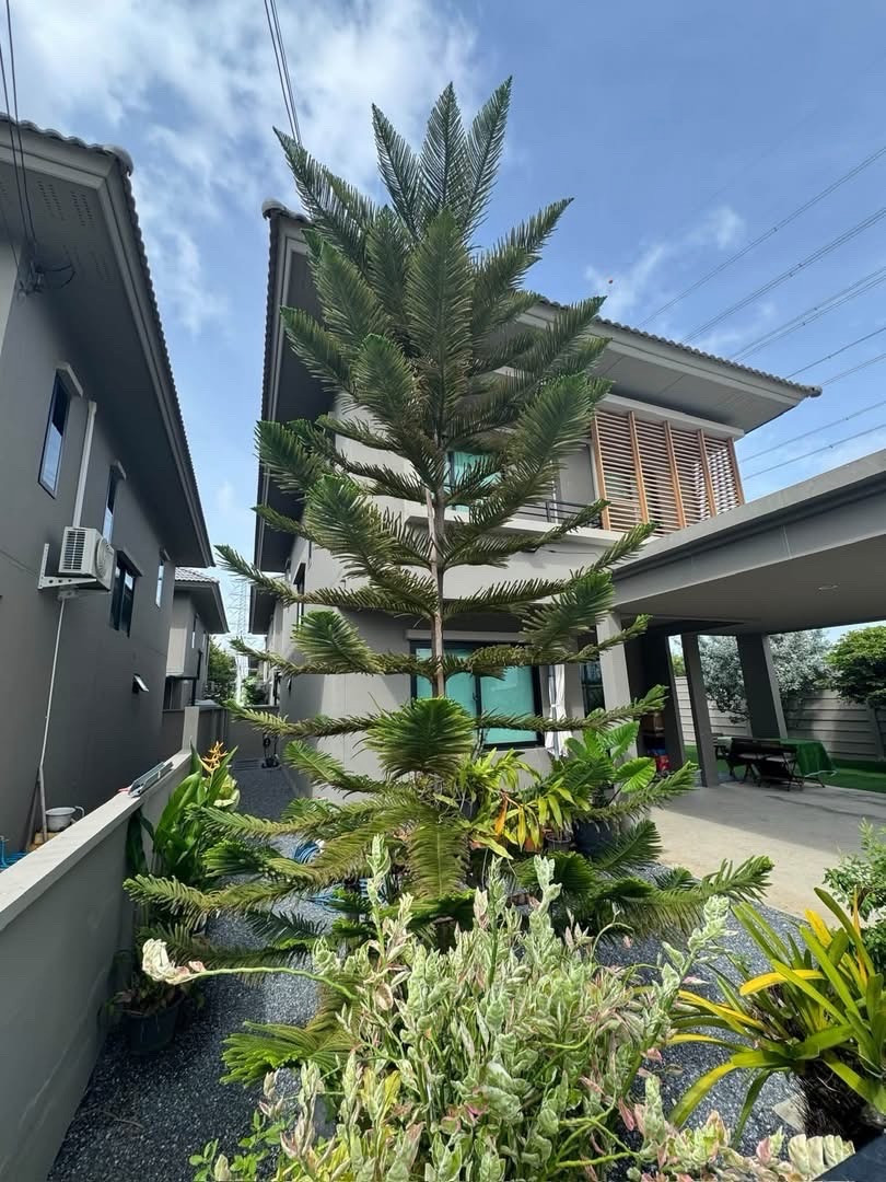 🚩Como Botanica2 - Bangna| Concordian International School, D-PREP International School, Thai-Chinese International School (TCIS), Singapore International School of Bangkok (SISB) Suvarnabhumi Campus, Berkeley International School 🚩Como Botanica2 - Bangna| Concordian International School, D-PREP International School, Thai-Chinese International School (TCIS), Singapore International School of Bangkok (SISB) Suvarnabhumi Campus, Berkeley International School