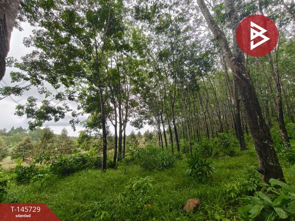 Land for sale, area 56 rai 3 ngan 55.6 sq m, Khao Saming, Trat.