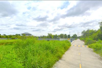 ขาย ที่ดิน ถูกที่สุด 790 ตรว ซอยลําลูกกา 71 ใกล้ถนนเลียบคลอง 4 เพียง 750 เมตร KK