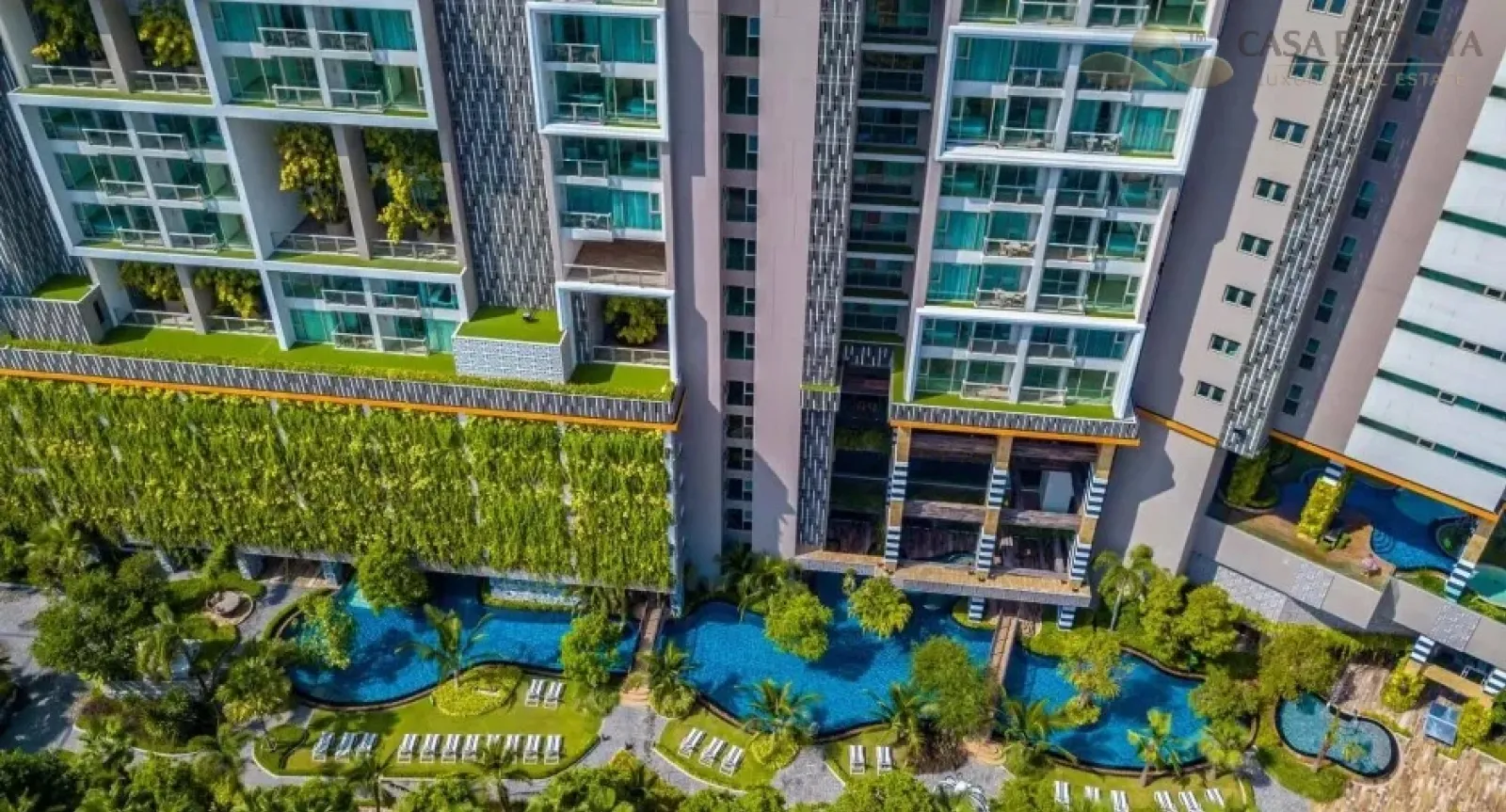 ที่พักสุดหรูราคาไม่ถึง 4 ล้าน! คอนโดสวยงามที่ The Riviera Jomtien