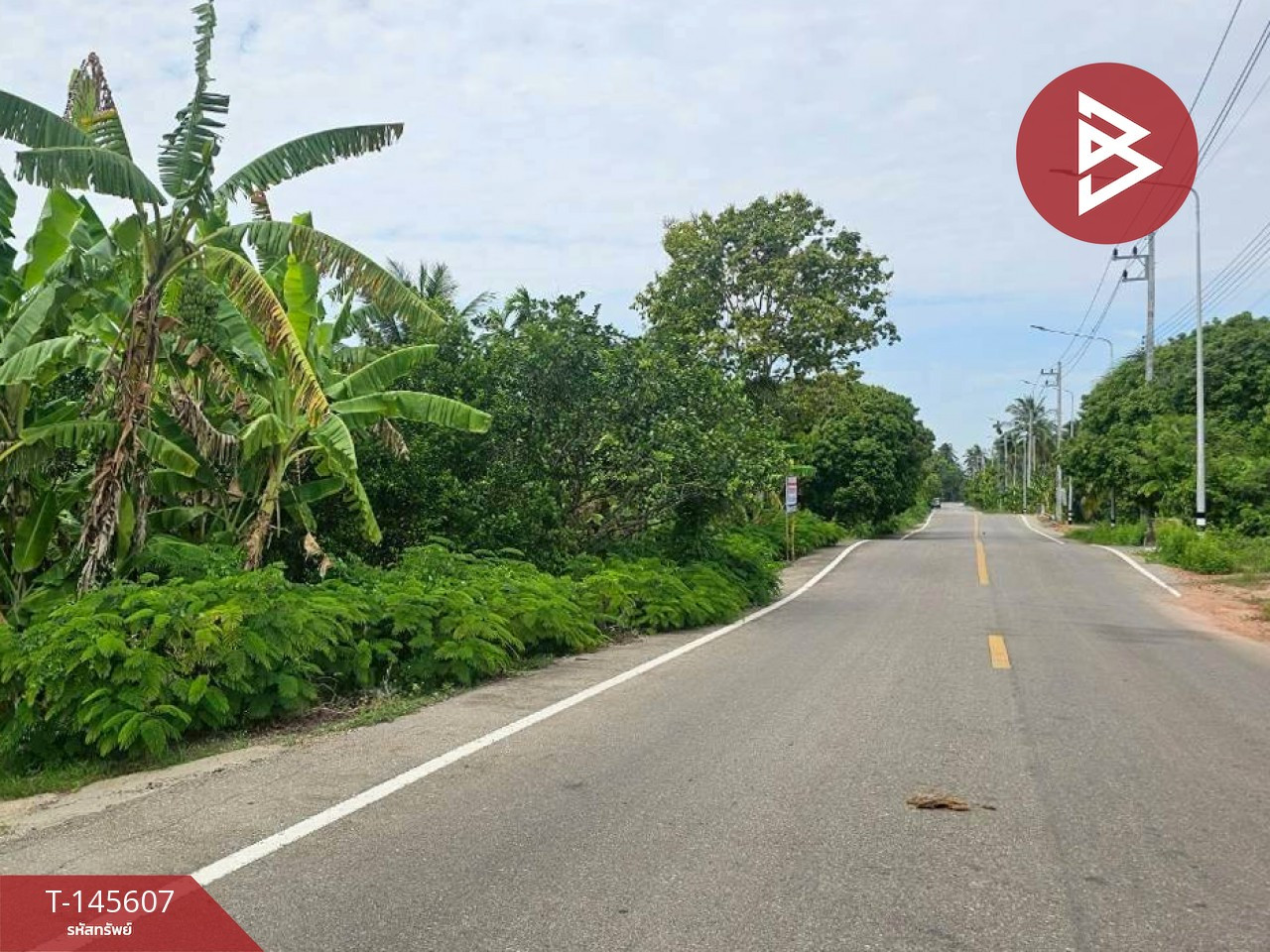 ขายที่ดิน เนื้อที่ 1 ไร่ 1 งาน 13 ตร.วา บางคนที สมุทรสงคราม – รูปที่ 2