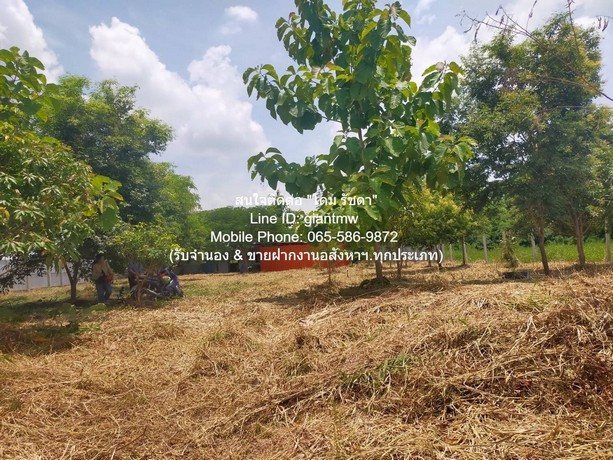 DSL-709 ขายที่ดินเปล่า 1-0-14.5 ไร่ (414.5 ตร.ว.) ซ.สุวินทวงศ์ ใกล้สนามกอล์ฟฟินิกซ์ โกลด์ กอล์ฟ แบงค็อก ชั้นที่ 1 ใกล้กับ ใกล้สนามกอล์ฟฟินิกซ์ โกลด์ กอล์ฟ แบงค็อก (Phoen DSL-709 ขายที่ดินเปล่า 1-0-14.5 ไร่ (414.5 ตร.ว.) ซ.สุวินทวงศ์ ใกล้สนามกอล์ฟฟินิกซ์ โกลด์ กอล์ฟ แบงค็อก ชั้นที่ 1 ใกล้กับ ใกล้สนามกอล์ฟฟินิกซ์ โกลด์ กอล์ฟ แบงค็อก (Phoen