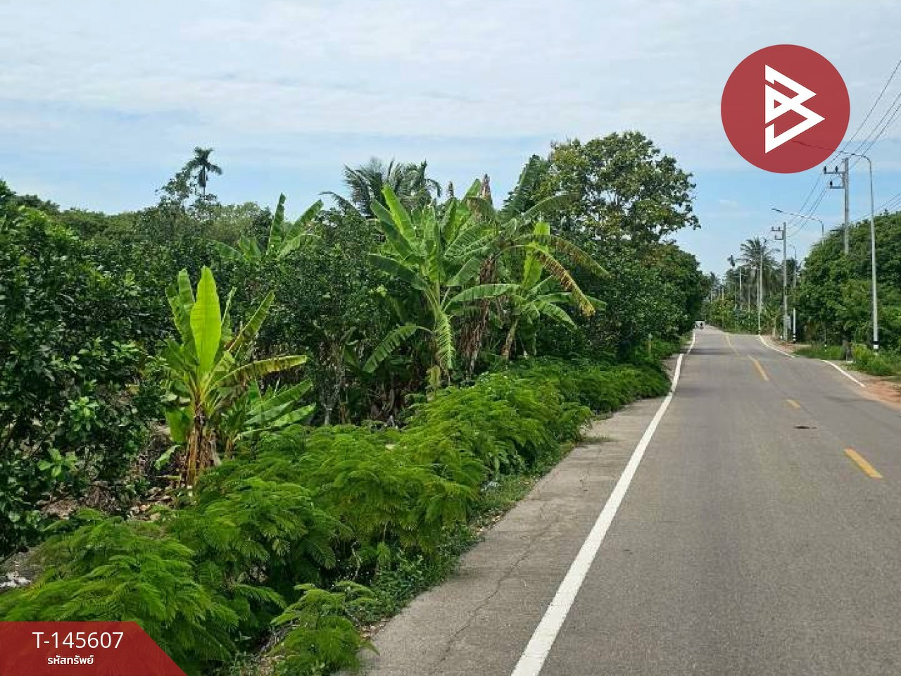 ขายที่ดิน เนื้อที่ 1 ไร่ 1 งาน 13 ตร.วา บางคนที สมุทรสงคราม – รูปที่ 3