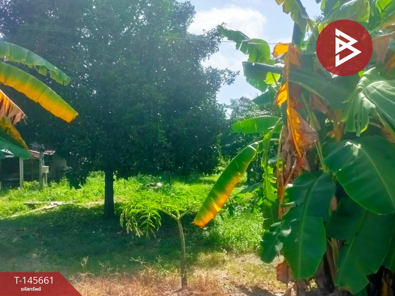 Land for sale, area 1 ngan 20 sq m, Khlong Narai, Chanthaburi. – รูปที่ 3
