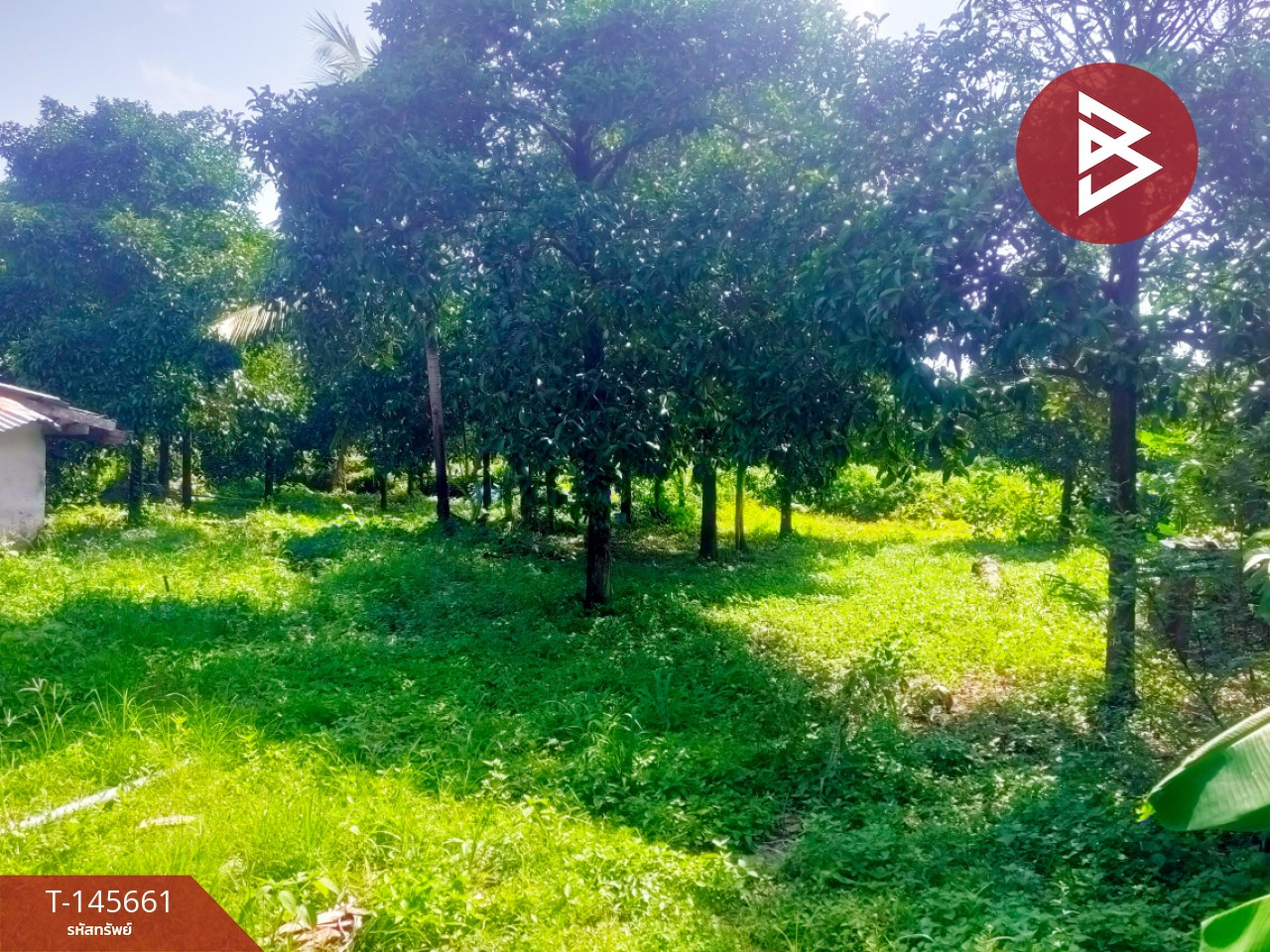 Land for sale, area 1 ngan 20 sq m, Khlong Narai, Chanthaburi. Land for sale, area 1 ngan 20 sq m, Khlong Narai, Chanthaburi.