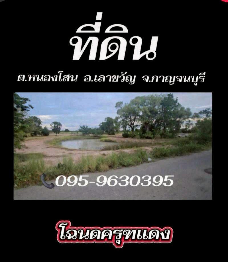ที่ดินสวย ติดถนนดำ หน้ากว้าง 130 เมตร เหมาะสำหรับ 🏡 บ้านสวนวัยเกษียณ 🏕️ บ้านพักตากอากาศ ☕ คาเฟ่วิวธรรมชาติ 🌿 โคกหนองนา – รูปที่ 3