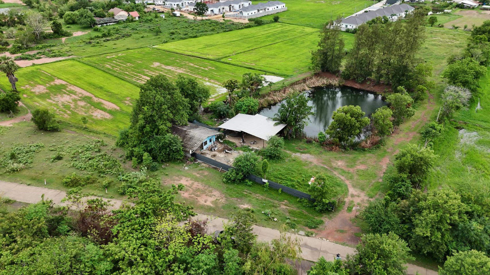 ขายที่ดินโคราช อำเภอเมืองนครราชสีมา แปลงสวย  8-0-14 ไร่  ใกล้ถนนเลี่ยงเมือง – รูปที่ 3