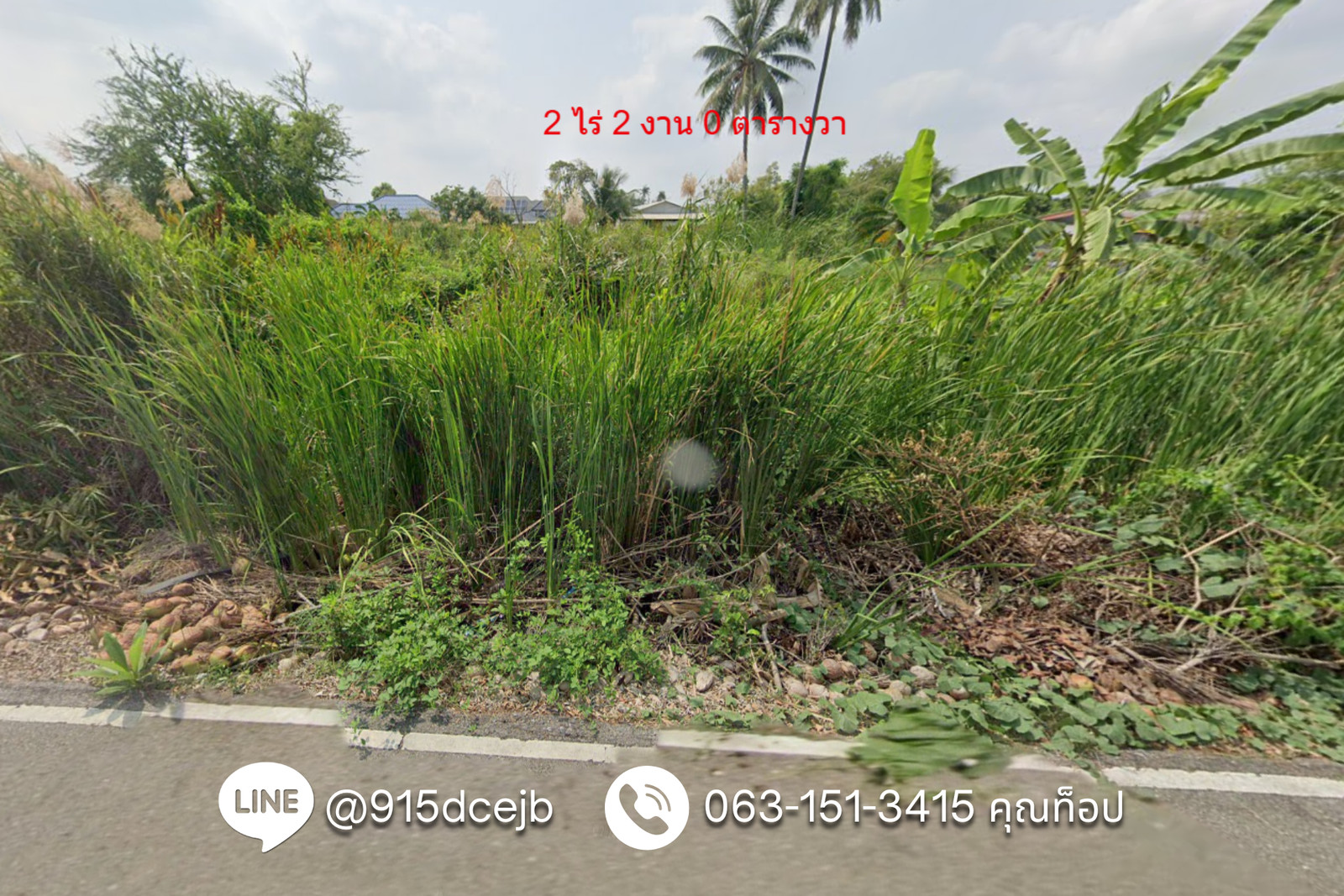 Land for sale in Sam Phran, 2 rai 2 ngan, Soi Sam Phran 12, Tha Talat Subdistrict, Sam Phran District, Nakhon Pathom. – รูปที่ 4