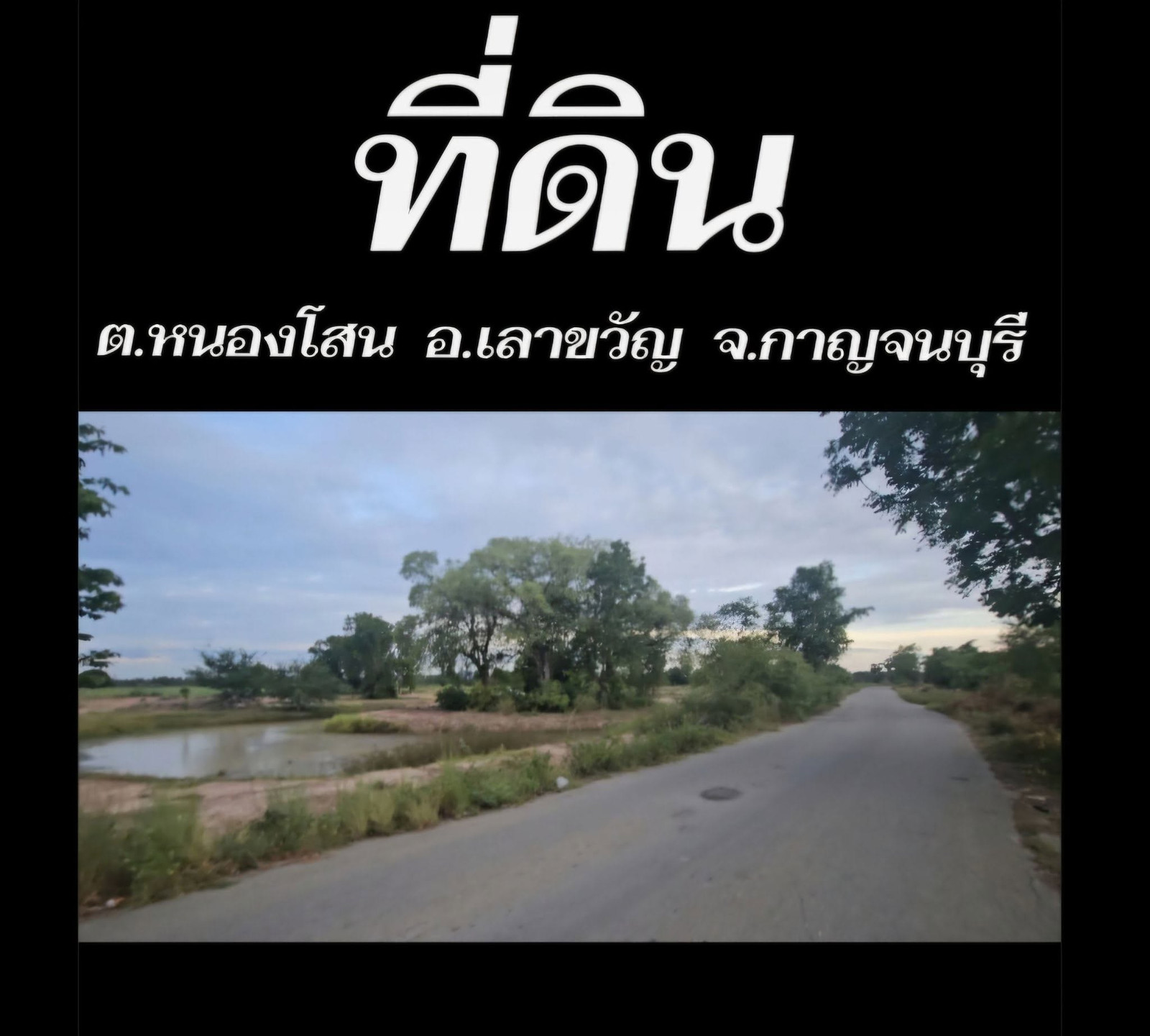 ที่ดินสวย ติดถนนดำ หน้ากว้าง 130 เมตร เหมาะสำหรับ 🏡 บ้านสวนวัยเกษียณ 🏕️ บ้านพักตากอากาศ ☕ คาเฟ่วิวธรรมชาติ 🌿 โคกหนองนา