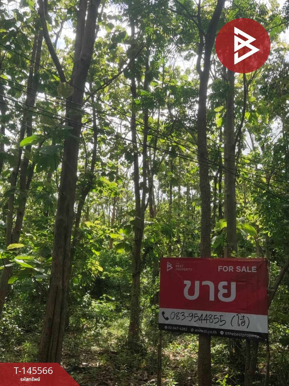 ขายที่ดิน เนื้อที่ 2 งาน ตาคลี นครสวรรค์ – รูปที่ 3