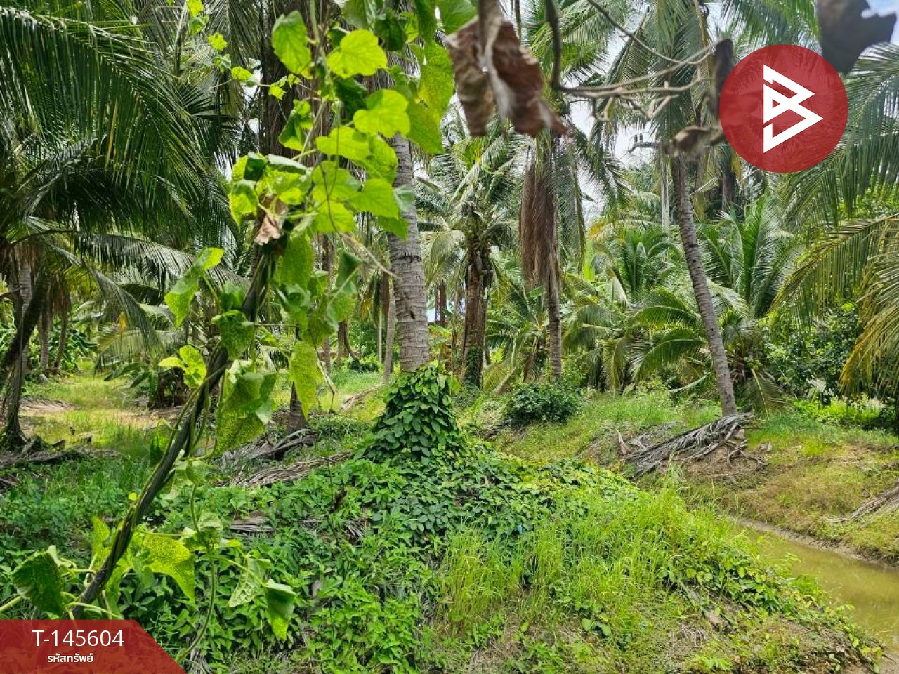 Land for sale, area 2 ngan, 84.3 sq m, Bang Pa, Ratchaburi. – รูปที่ 4