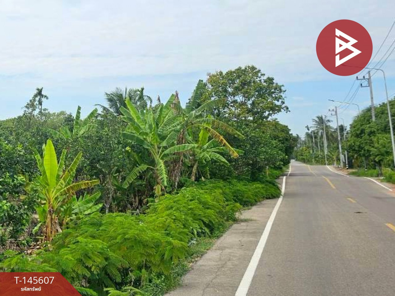 ขายที่ดิน เนื้อที่ 1 ไร่ 1 งาน 13 ตร.วา บางคนที สมุทรสงคราม ขายที่ดิน เนื้อที่ 1 ไร่ 1 งาน 13 ตร.วา บางคนที สมุทรสงคราม