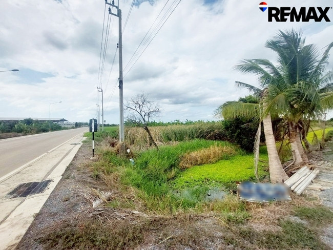 Vacant land for sale, 13 rai 1 ngan 71 sq m, purple layout, Sai Noi District, Nonthaburi Province, beautiful plot next to the road on 2 sides, very good price. – รูปที่ 3
