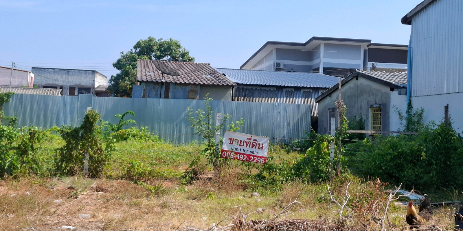 ที่ดินทำเลสวย น้ำไม่ท่วม 98.3 ตร.ว. หน้ากว้าง สี่เหลี่ยมสวย เหมาะสร้างบ้านในฝัน – รูปที่ 4