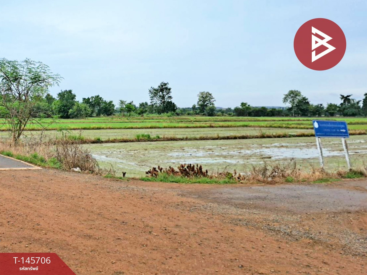 ขายที่ดิน เนื้อที่ 5 ไร่ 1 งาน 4 ตร.วา เนินมะปราง พิษณุโลก – รูปที่ 4