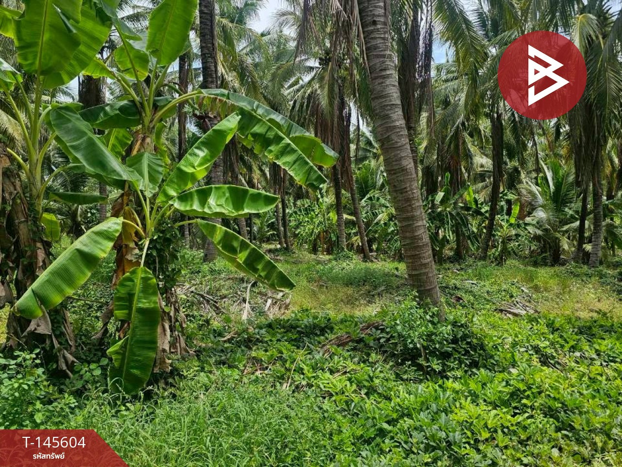 Land for sale, area 2 ngan, 84.3 sq m, Bang Pa, Ratchaburi. – รูปที่ 2