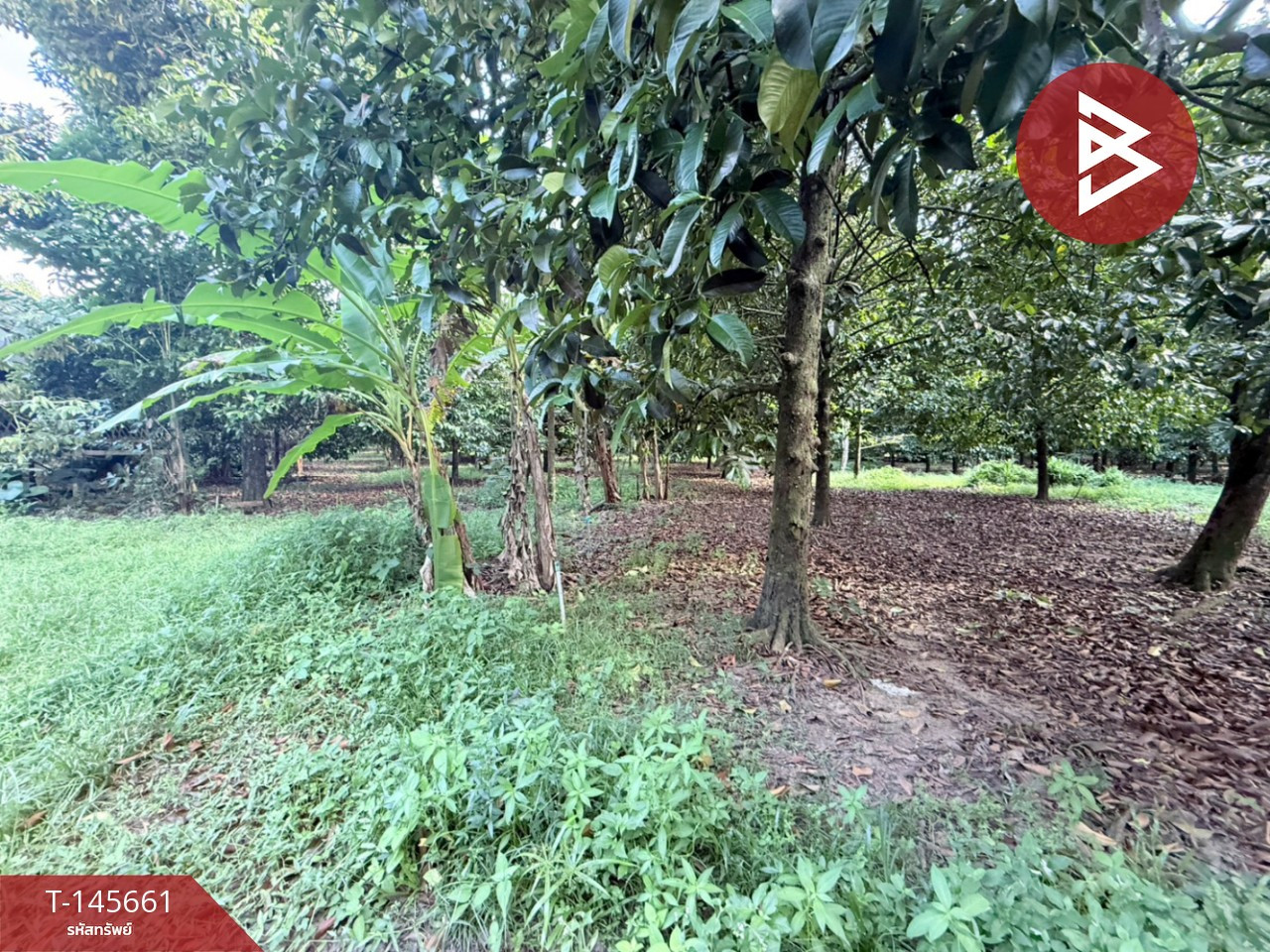 Land for sale, area 1 ngan 20 sq m, Khlong Narai, Chanthaburi. – รูปที่ 4