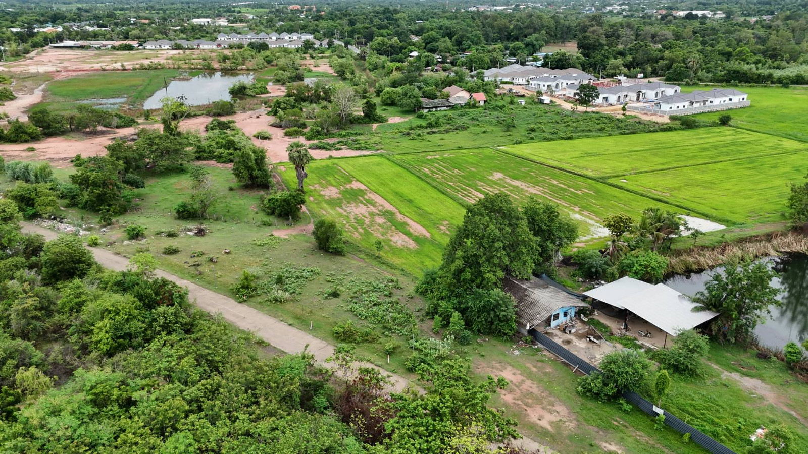 ขายที่ดินโคราช อำเภอเมืองนครราชสีมา แปลงสวย  8-0-14 ไร่  ใกล้ถนนเลี่ยงเมือง – รูปที่ 4