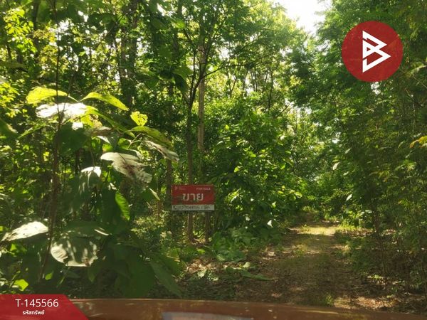 Land for sale, area 2 ngan, Takhli, Nakhon Sawan