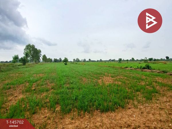 Empty land for sale, area 35 rai 3 ngan 48 square wah, Thap Khlo, Phichit.