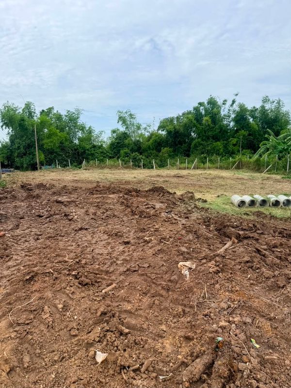 Land for sale, 356 square wah (with 2 ngan of growing space behind the land, next to Uthai Canal), Uthai Subdistrict, Uthai District, Ayutthaya
