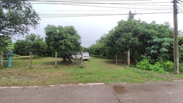 Land for sale, 3 rai 2 ngan 31 square wah, Road 4025, already filled, has a fruit orchard, Dong Phra Ram Subdistrict, Mueang Prachin Buri District. Prachinburi Province